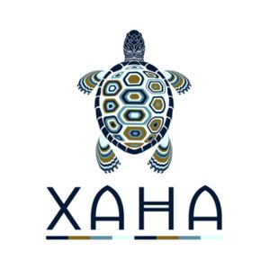 Xaha